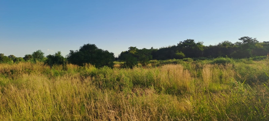0 Bedroom Property for Sale in Baillie Park North West
